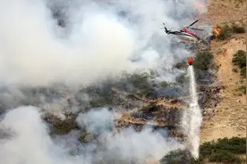 用打火机欲烧死蜘蛛却引发山火，美一26岁男子被逮捕 警方：鲁莽且令人费解图片