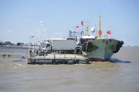 你爱的梭子蟹、条虾来了！崇明开捕后第一批“鲜味儿”上市图片