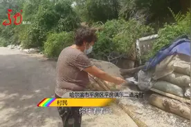 头皮发麻！哈尔滨一村中突然大量出现这种虫子，到底从何而来？图片