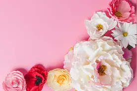 当“七夕小姐”遇上“疯狂星期四先生”，会擦出怎样的火花？图片