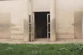 被萌到了！新生象宝宝首次与游客见面图片