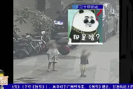 惊险！路边停着辆三轮车，俩熊孩子把它开动了……图片