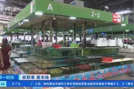 海鲜降价了！江苏连云港皮皮虾价格腰斩，螃蟹卖出“大白菜价”→图片