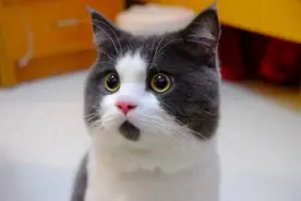 脖子上长出14厘米大“超级肿瘤”！女子在厦紧急就医图片