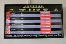动车全部禁售！航班突然取消！从三亚回上海的旅客“坐上飞机又被叫下来”……图片
