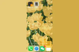 半两财经 | 一个计算器App一年收费240元？苹果应用商店免费试用模式遭用户质疑图片