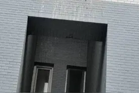 ​数量越来越多，叫声吵人，粪便到处都是…...大连一小区业主苦不堪言图片