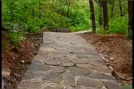 夏日，行走于山间小路。安静中有风拂过，内心不燥，心情正好图片