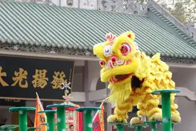 南山、新桥、松岗七星狮...深圳到底有多少本土“醒狮”？图片