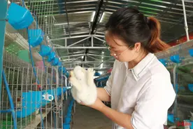 90后女孩银行辞职回乡当兔倌：高中时父母双亡，坚强学成如今圆“梦”图片