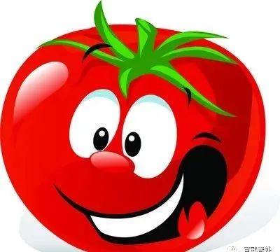 番茄是酸性还是碱性（番茄您真的吃对了吗）