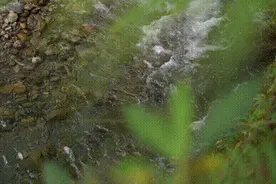 避暑好去处！洛阳周边这里可游山玩水赏瀑布！约起来图片