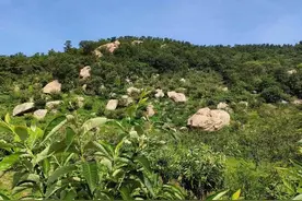 吕连谓：最热征服水帘沟图片