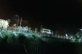 杨梅之乡浙江仙居发生山火，村民：正统计果树被烧损失图片