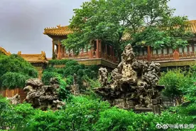 清清爽爽！绿荫中的故宫御花园这么美图片