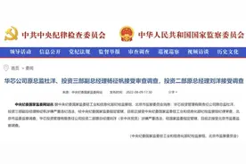 “大基金”人事动荡：7家任职的上市公司与被查80后高管“割席”，刚过会的中巨芯称“职务罢免在走程序”图片