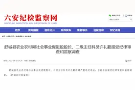 舒城县农业农村局社会事业促进股股长、二级主任科员许礼勤被查图片