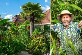 男子将自家院子打造成“热带丛林”储存2000升雨水对抗干旱图片