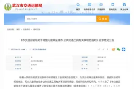 征求意见中！9月起，武汉儿童乘坐公共交通有变化图片
