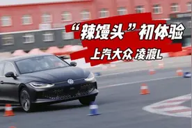试驾｜上汽大众凌渡L：饰演“开路先锋”的“辣馒头”图片