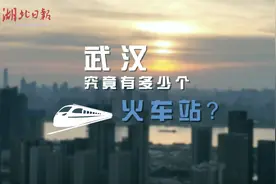 武汉东站明日开通！你知道吗，其实武汉还有这些火车站……图片