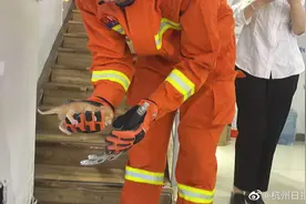 破拆墙体！小奶猫被困墙内，杭州消防“凿壁救猫”图片