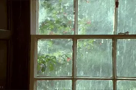 为什么很多人认为下雨天睡觉会更舒服呢？图片