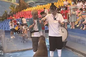 海狮表演馆内热得像蒸笼 为防备攻击还得穿厚牛仔裤 驯养师一套衣服反复汗湿六次图片