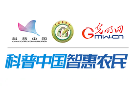 怎样给犊牛灌服初乳？图片