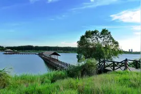 美景山东｜揽翠湖：黄河三角洲康旅休闲新景区图片