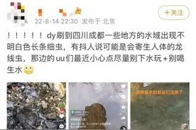 多地水域出现不明长条细虫，目击者：像面条一样！四川疾控回应图片