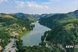 延安吴起：黄土高原的绿色蜕变图片