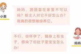 怀孕了，家里的猫咪还能养吗？图片