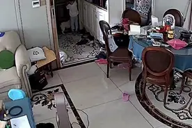 家里没人，狗狗带4岁小主人去店里找妈妈：狗子去过，孩子没去过图片