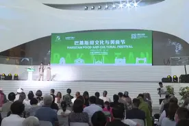 全球连线｜河北与巴基斯坦联合举办文化美食节图片