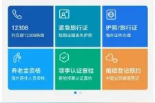驻匈牙利使馆启用“中国领事”APP因私护照等在线办理功能图片