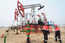 俄媒：日本恢复从俄罗斯进口石油，进口规模同比下降65%图片