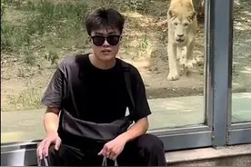 男子想和动物园狮子合影被吓出表情包图片