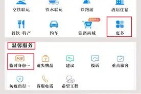 坐火车身份证丢失怎么办？12306APP输入号码可自助办理图片