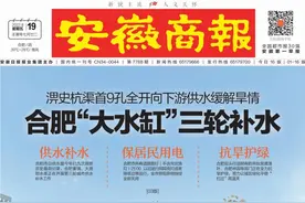 每辆补贴3000元、明起申报！合肥发布新政图片