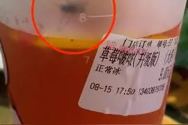 蜜雪冰城回应女子称喝出活苍蝇！苍蝇不可能在封杯前进去，蜜雪冰城门店多次涉食品问题图片