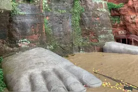 1.13亿年前的恐龙足迹重见天日！犹如独自远去的“独行侠”图片