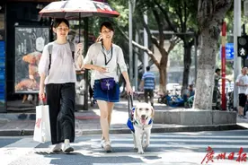 坐轮椅能上飞机么？导盲犬能进客舱么？一起来了解—>图片