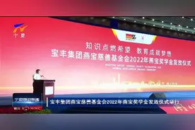 宝丰集团燕宝慈善基金会2022年燕宝奖学金发放仪式举行图片