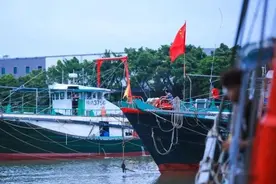 生猛回归！鱼虾蟹蚌“大闹”斗门...图片