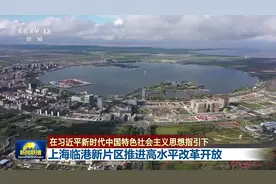 在习近平新时代中国特色社会主义思想指引下丨上海临港新片区推进高水平改革开放图片