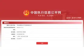 联动云被恢复执行5.6亿余元 累计被执行总金额超8.03亿元图片