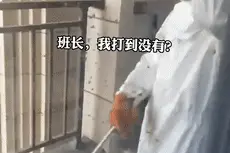 早期消防员驯服蜜蜂珍贵画面流出！班长：以后别说你的班长是谁……图片