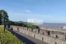 直击洞庭湖旱灾：湖床变成广袤草原，大量鱼类被困死亡图片