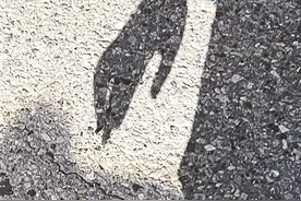 不经意间，有些情绪只有自己懂图片